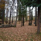 DSCN9375