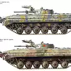 BMP-1lamina A (2)