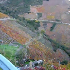 DSCN6563