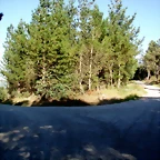 P1010136