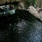 Zoo de Barcelona 27-03-11 711