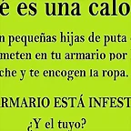 la calor?a