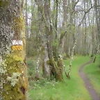 DSCN4157