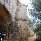 DSCN8059