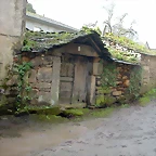 DSCN7339