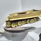 Tiger65