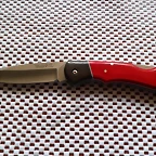 SAM_0386