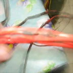 Imagen 006