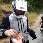 DSCN3503
