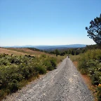 DSCN9528