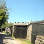 DSCN5394