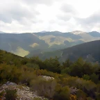 DSCN1232