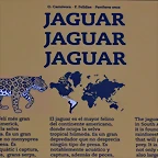 Zoo Barcelona 23-11-11 i 25-11-11 596