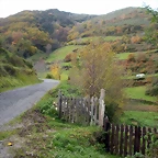DSCN0581