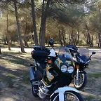 IMG-20161117-WA0010
