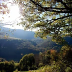 DSCN8967