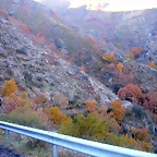 DSCN6979