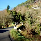 DSCN1055