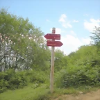 DSCN3895
