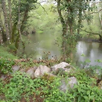 DSCN4173