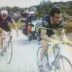 Lejarreta-Vuelta1983-Hinault