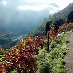 DSCN4460