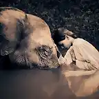 mujer-elefante1