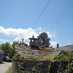 DSCN5397