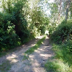 DSCN2347