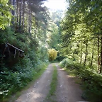 DSCN9221