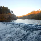 DSCN9000