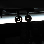 DSCN5462