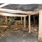DSCN3814