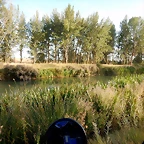 DSCN9458