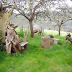 DSCN4322