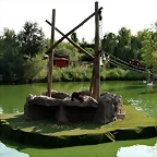 Zoo Barcelona, Faunia y Safari Madrid 421