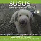 SUGUS Sevilla