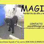 MAGIA Sevilla