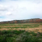 100_8263