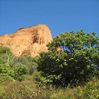 IMG_0179