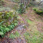 DSCN5777