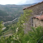 CIMG0137