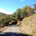 DSCN9116