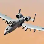 Fairchild_Republic_A-10_Thunderbolt_II_-_32156159151