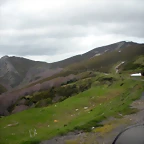 DSCN4373