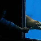 Zoo de Barcelona 07-06-11 274