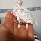 20190319_185915