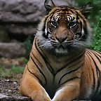 Zoo de Barcelona 07-06-11 897