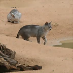 Zoo de Barcelona 07-06-11 432