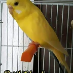 FB_IMG_1501517558676